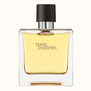 ادکلن تق هرمس 100 میل – terre d-hermes parfum