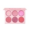 پالت رژگونه 6 رنگ شیگلم Sheglam Floral Flush Blush Palette