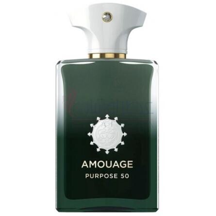 Amouage Purpose 50 آمواژ پرپس 50 | خلیفه چی